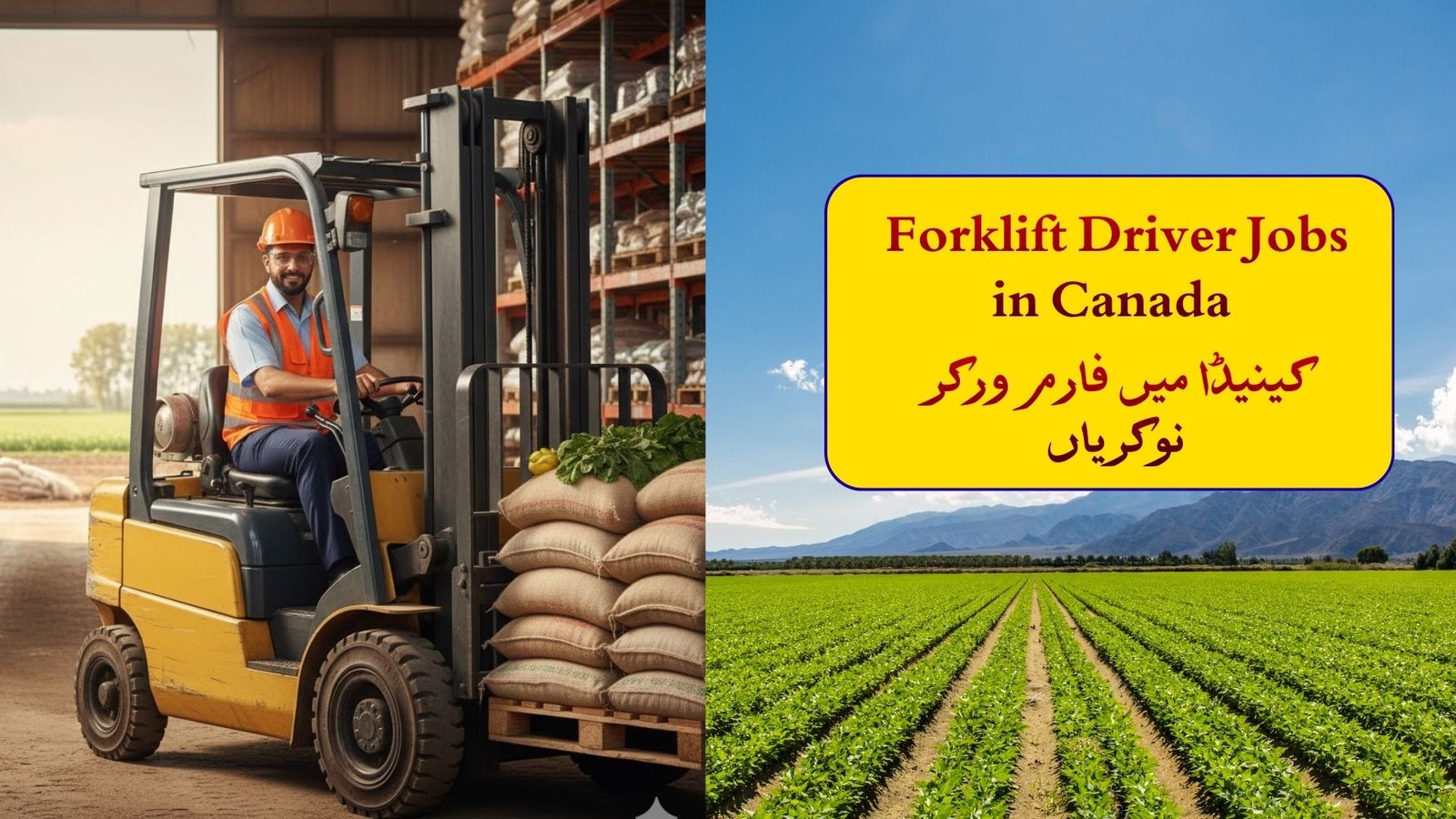 Forklift Driver Jobs in Canada