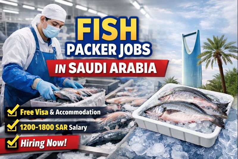 Fish Packer Jobs in Saudi Arabia